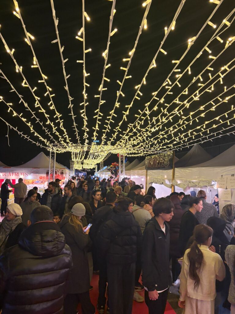 GUIRLANDES LUMINEUSES - RIDEAU BLANC CHAUD HORIZONTAL