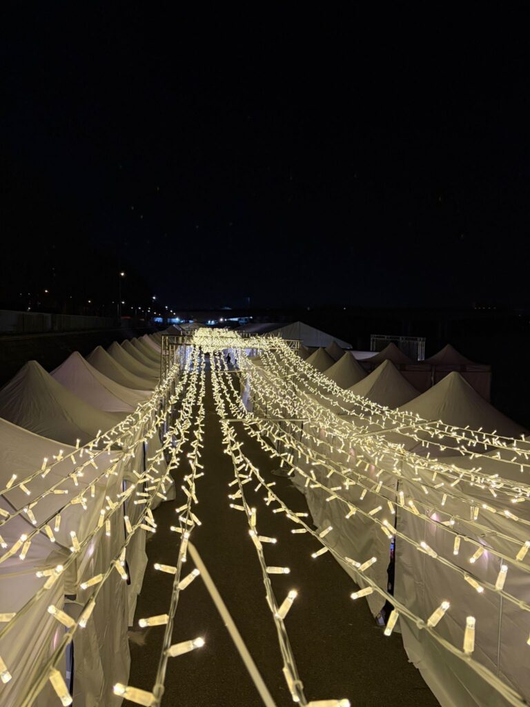 GUIRLANDES LUMINEUSES - RIDEAU BLANC CHAUD HORIZONTAL